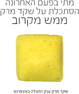 עיצוב אתרים
