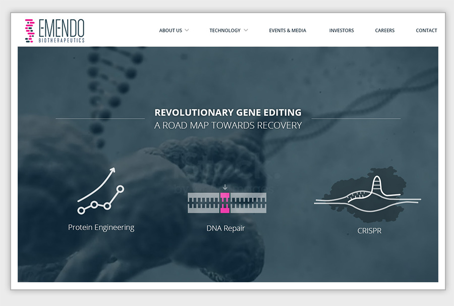 אתר שעיצבנו ופיתנו